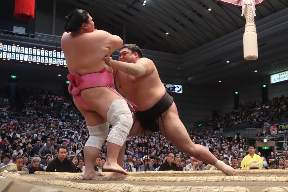 Haru Basho 2024 – dzień&nbsp;8