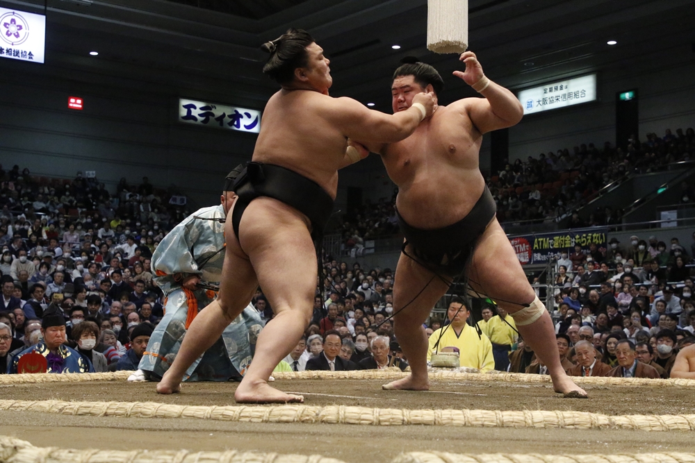 Haru Basho 2024 – dzień 5
