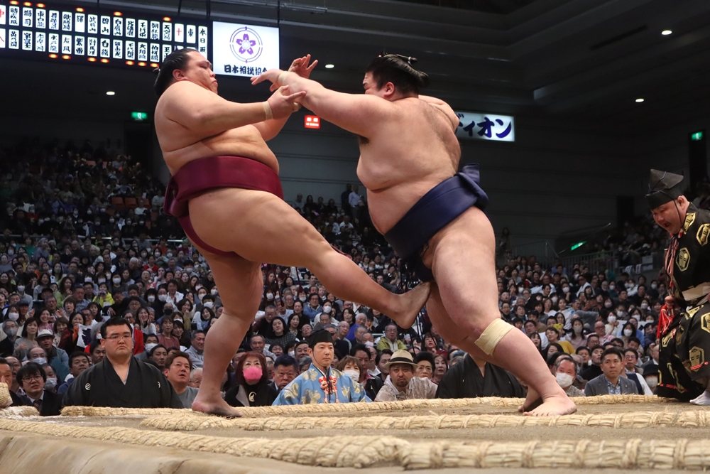 Haru Basho 2024 – dzień&nbsp;11
