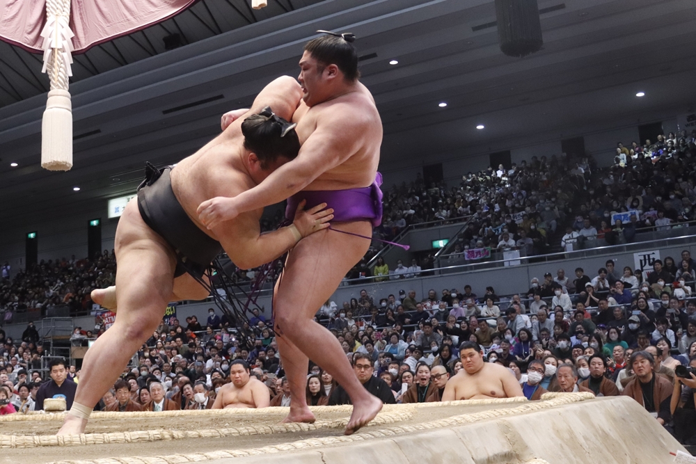 Haru Basho 2024 – dzień&nbsp;14