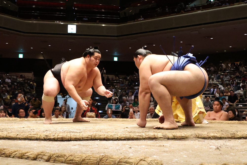 All Japan Sumo Championships