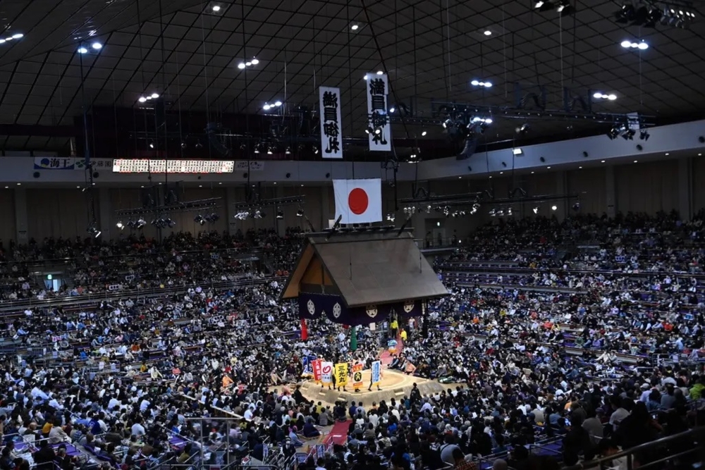 Hakuouhou wystartuje