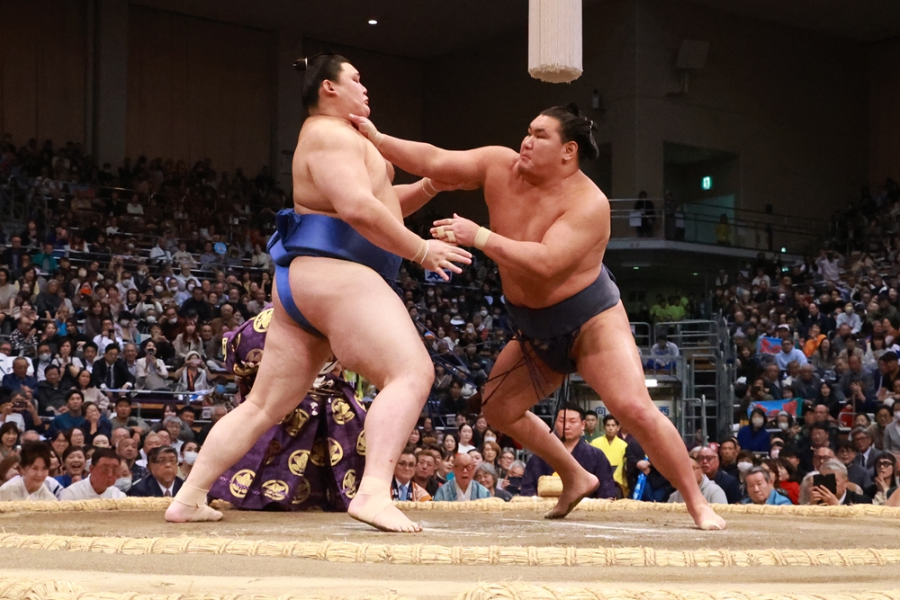 Hoshoryu i Kotozakura wygrywają