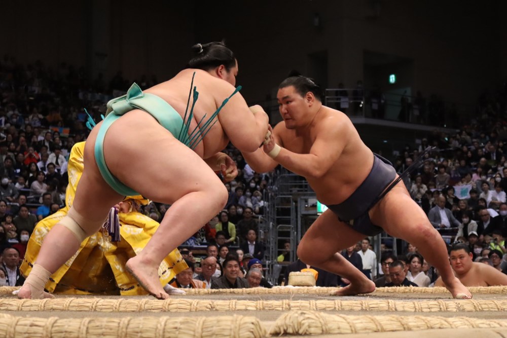 Kotozakura mistrzem Kyushu