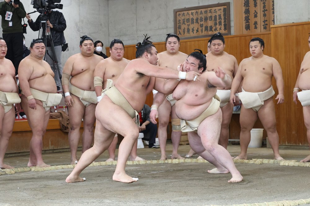 Yokozuna Shingi Iinkai&nbsp;Soken