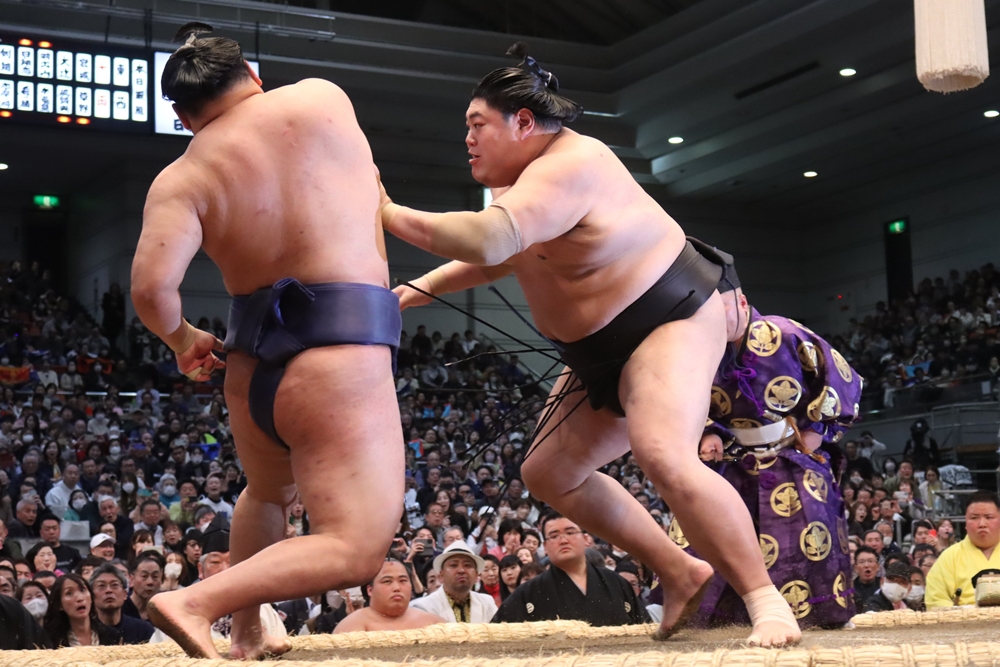 Abi popsuł debiut&nbsp;Hoshoryu