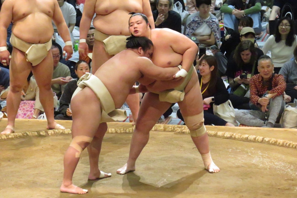 Kotozakura zamierza powrócić do&nbsp;formy