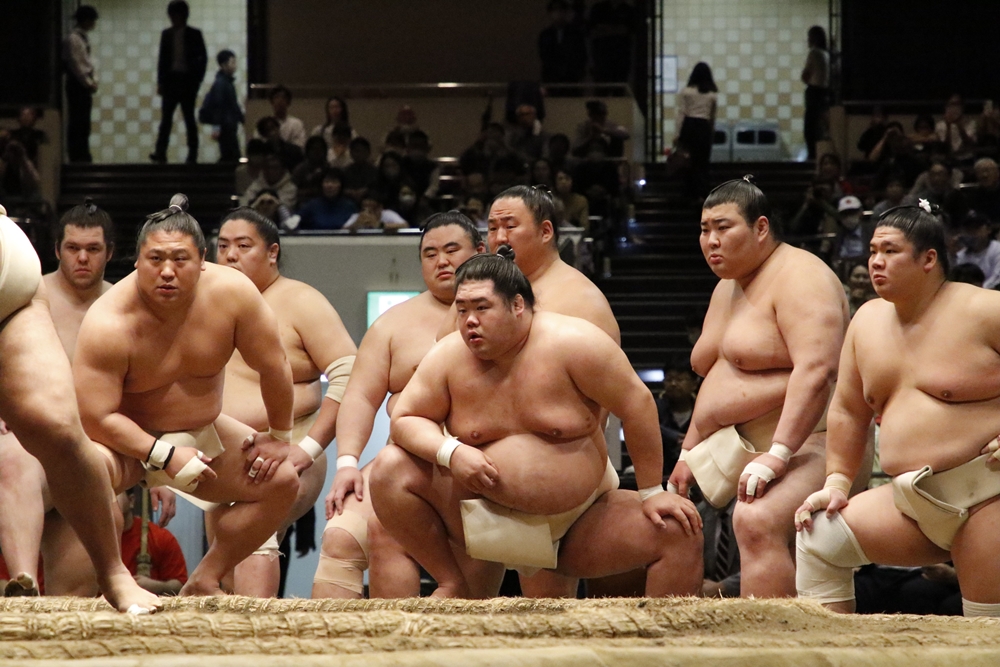 Soken Rady ds.&nbsp;Yokozuny