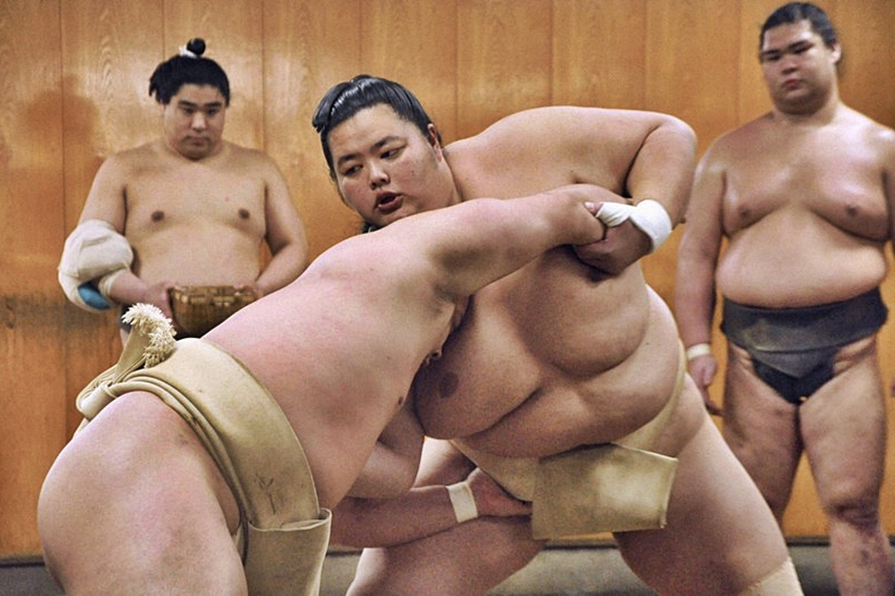 Kotozakura skupia się na&nbsp;podstawach