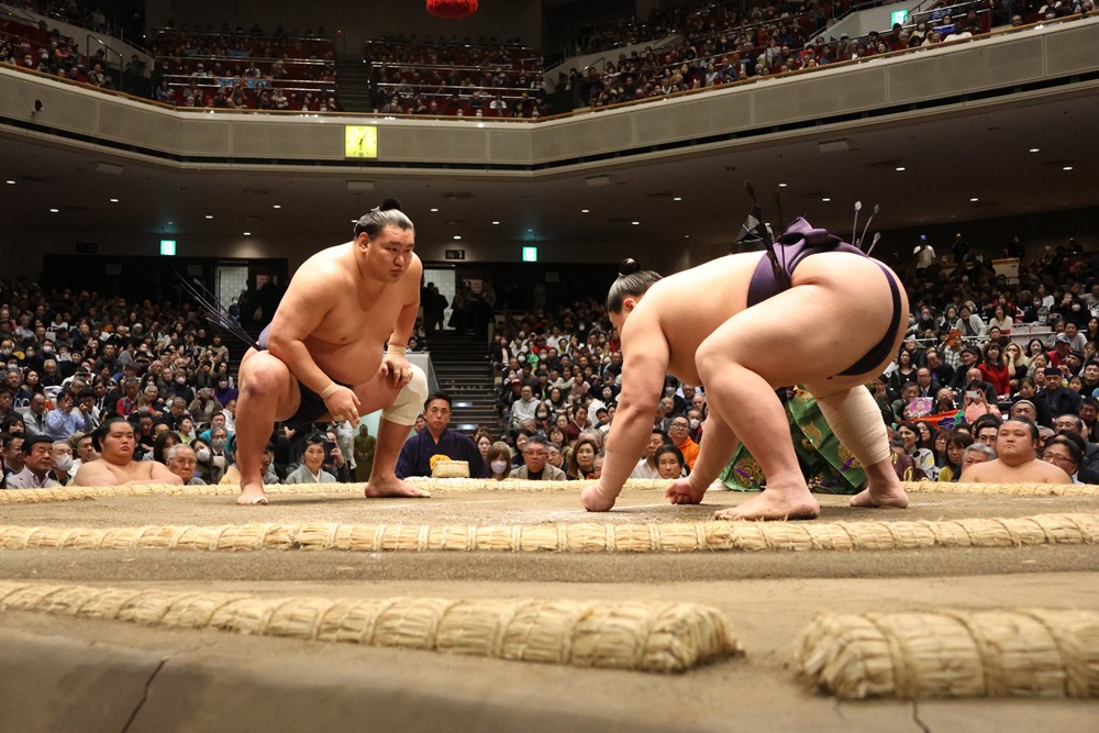 Yoshinofuji zadaje Hōshōryū pierwszą porażkę.